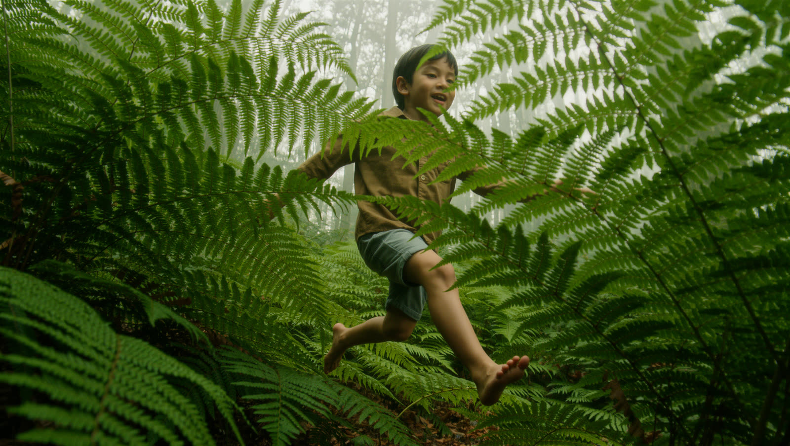 Still from The Fern Line