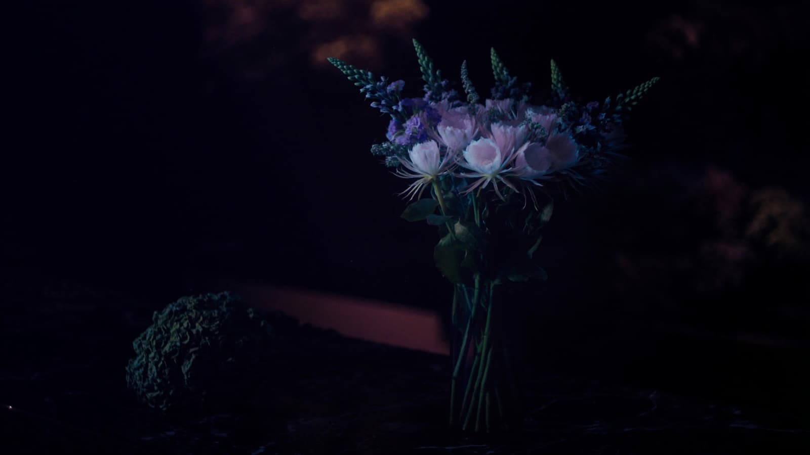 A mixed bouquet of white cereus, blue lupin spikes and violet stock in a glass jar beside a dark cabbage on the counter